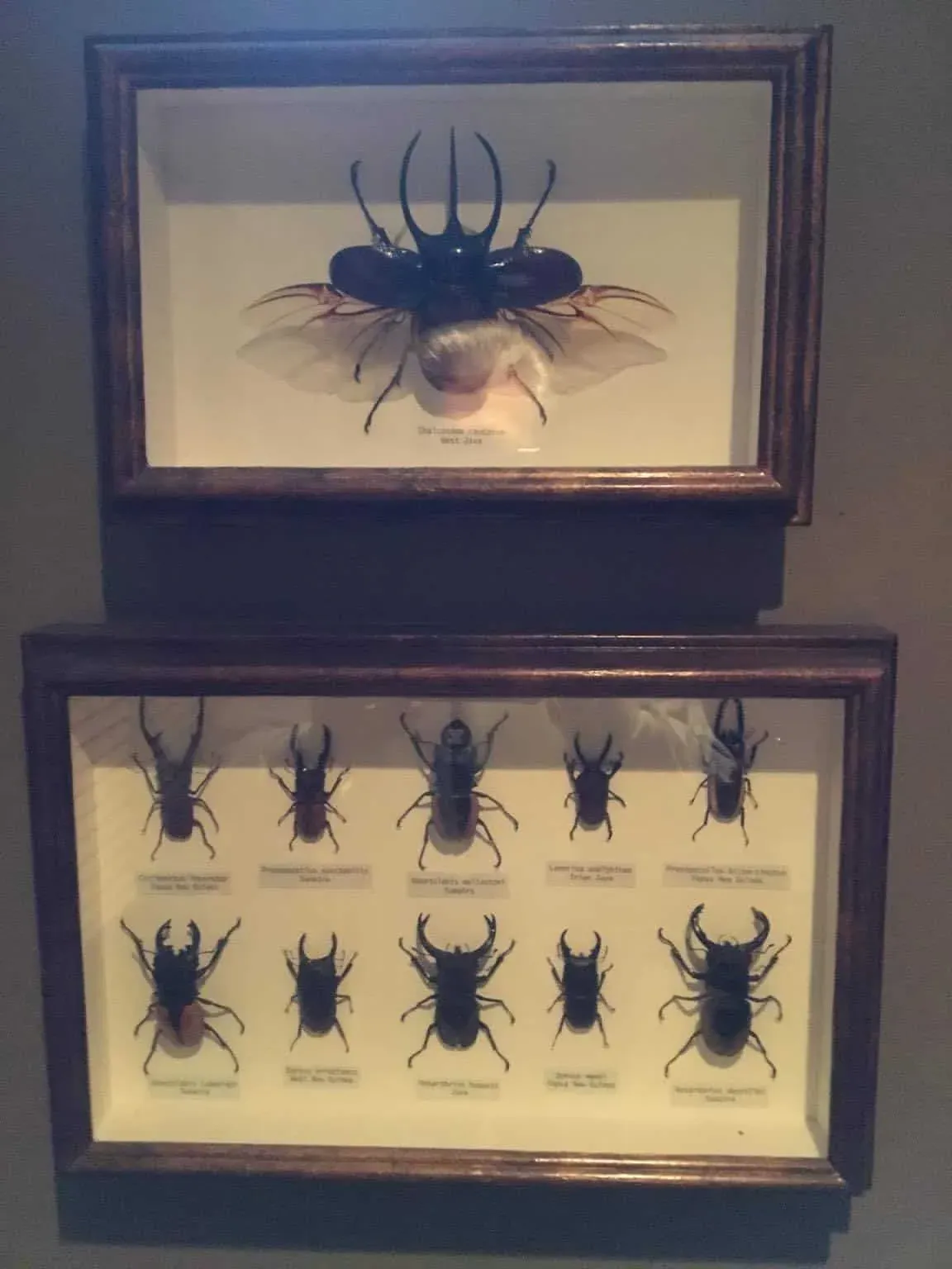 Heritage House Fine Furniture and Accessories - Interesting Collections